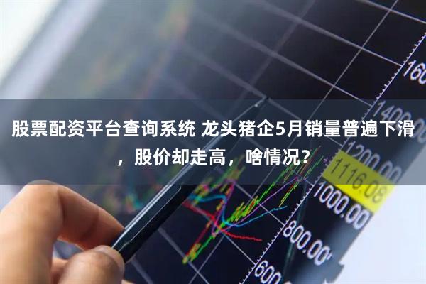 股票配资平台查询系统 龙头猪企5月销量普遍下滑，股价却走高，啥情况？