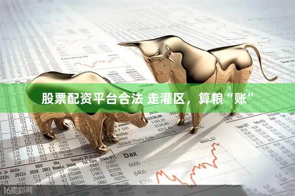 股票配资平台合法 走灌区，算粮“账”