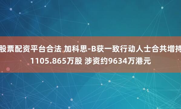 股票配资平台合法 加科思-B获一致行动人士合共增持1105.865万股 涉资约9634万港元