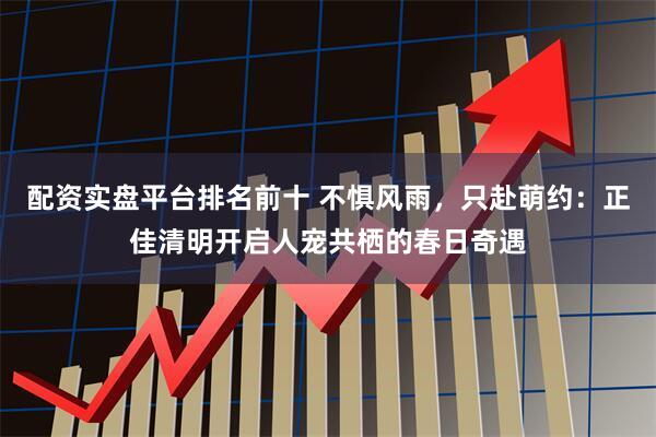 配资实盘平台排名前十 不惧风雨，只赴萌约：正佳清明开启人宠共栖的春日奇遇